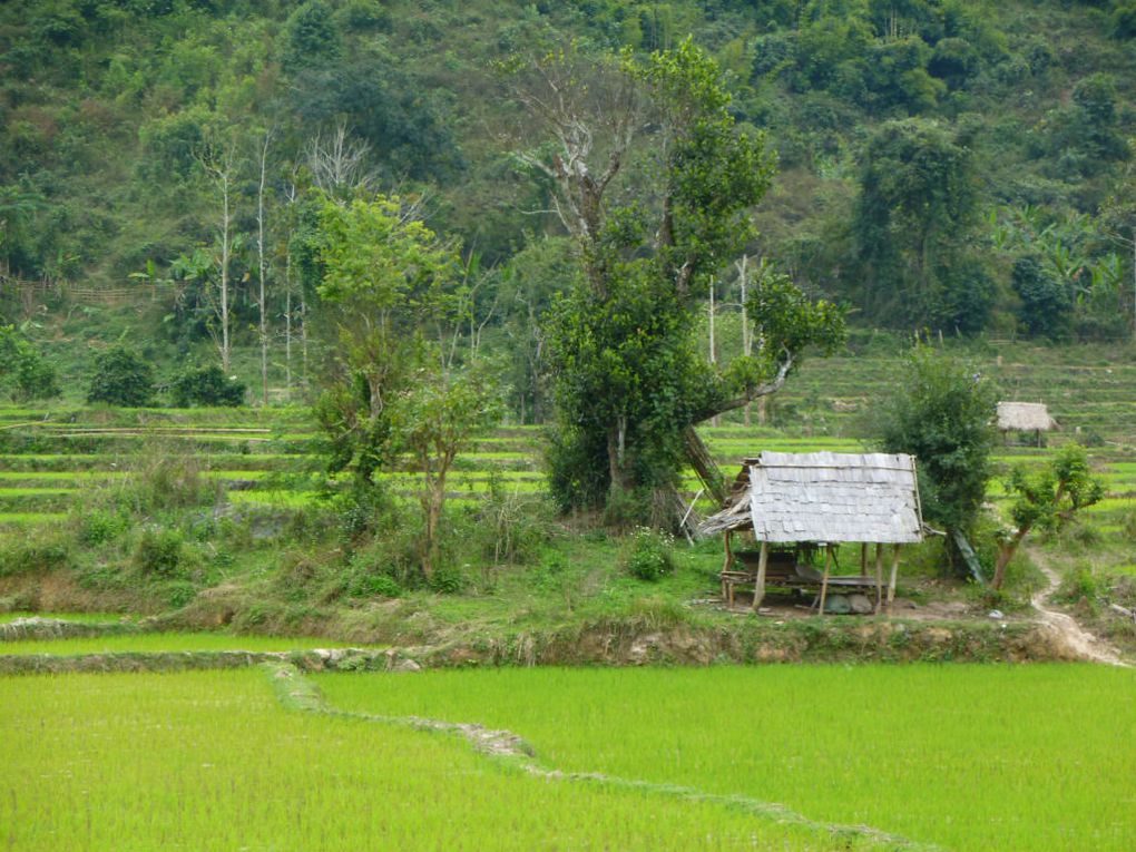 Album - Laos--La-Nam-Ou-et-Nong-khiaw