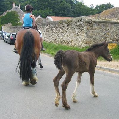 JAIMIE LEE & son bébé