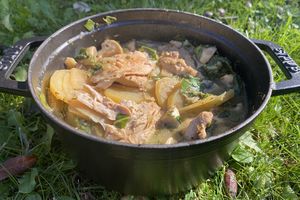 COCOTTE DE POULET MIEL CITRON ROMARIN AUX BLETTES ET CHAMPIGNONS 10 💚💙💜