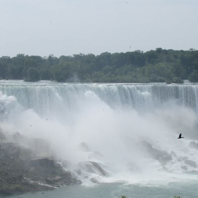 The famous Niagara Falls
