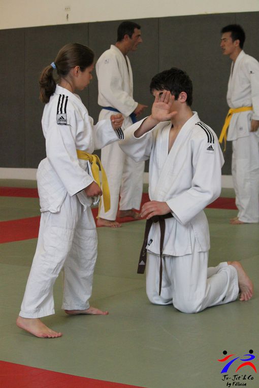 Jujitsu combat 06 2013 avec Sébastien Sanési organisé comme d'habitude par Ludo et Fred