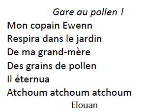 Les lauréats du prix des Poètes en Herbe du Bois Chevalier