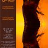 Moi and My Way - Pazit Grossman