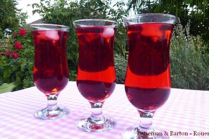 Infusions de fruits glacées