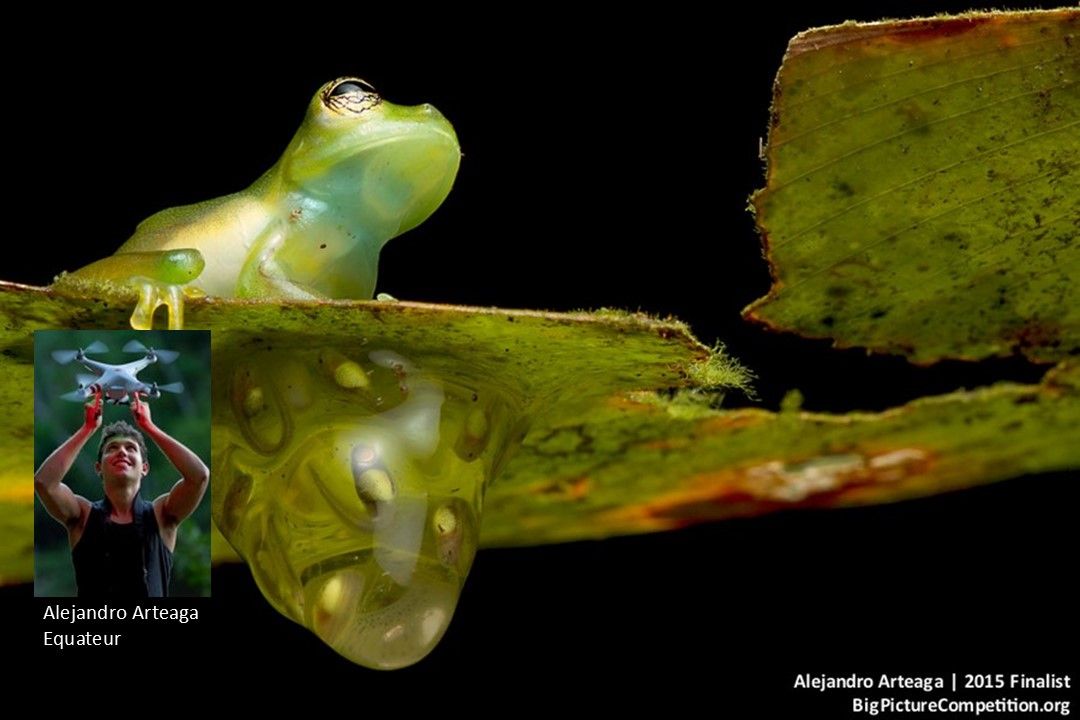 Divers - Concours photos - 1