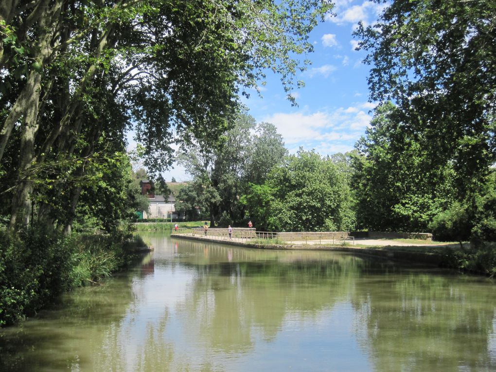 2014 - Canal-du-Midi 1