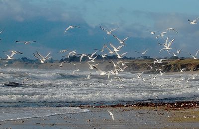 Guidel plage...