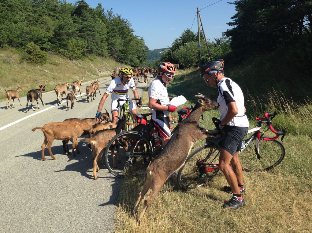 34ème édition de la Semaine Cyclo entre Vercors et Drôme Provençale