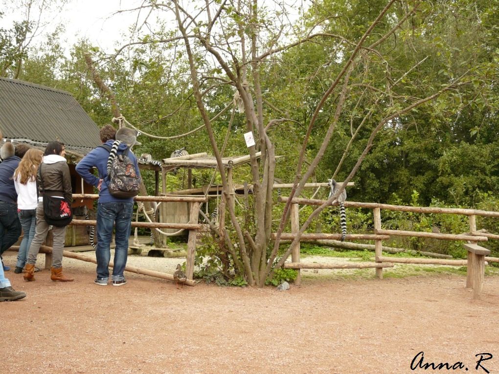 Visite du 13 septembre 2011