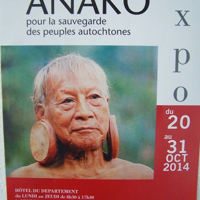 Exposition de la Fondation Anako à Poitiers