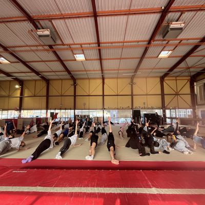 Journée de District UNSS GYMNASTIQUE