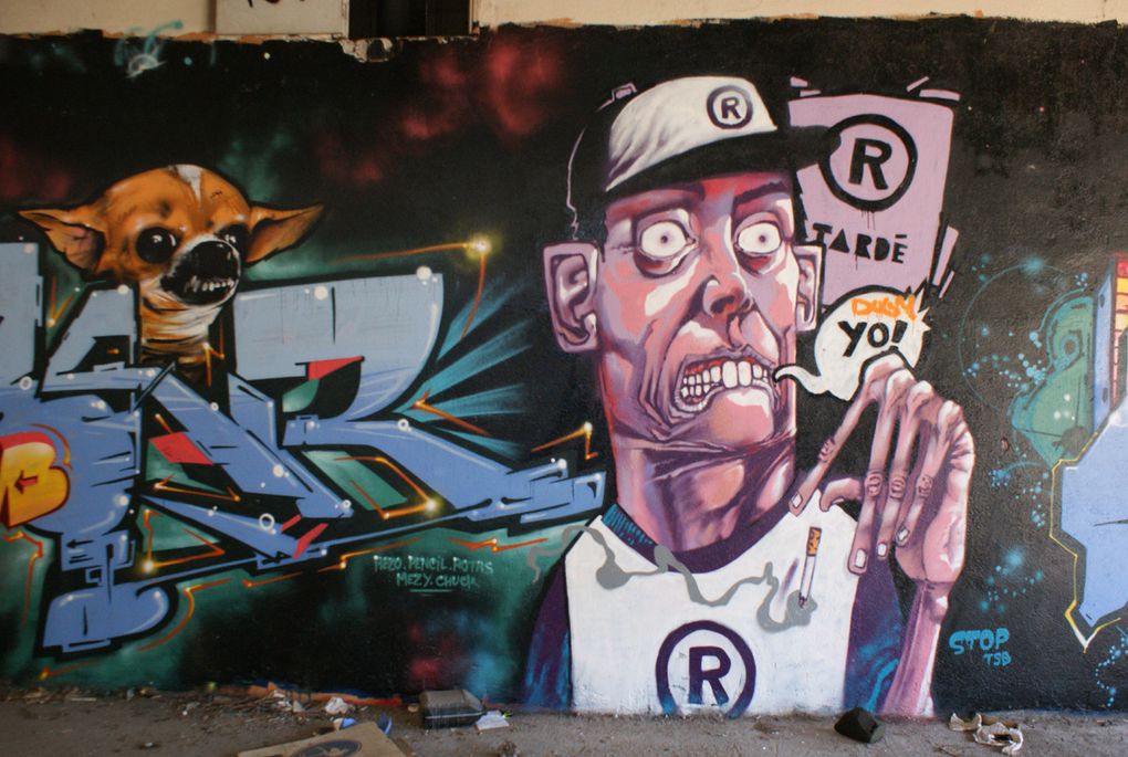 Album - Graffitis-Toulouse-tom-001