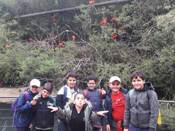 Sortie au Parc des Oiseaux