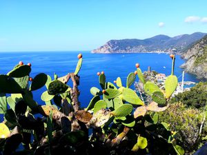 Point de vue de Punta Palma