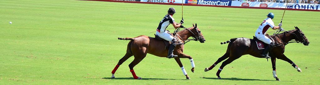 Le Polo est à l'Argentine ce le Basket est aux Américains.
Leurs équipes sont les meilleures du monde. Aussi je fus, par chance, spectateur du match où jouait la meilleure équipe du monde...