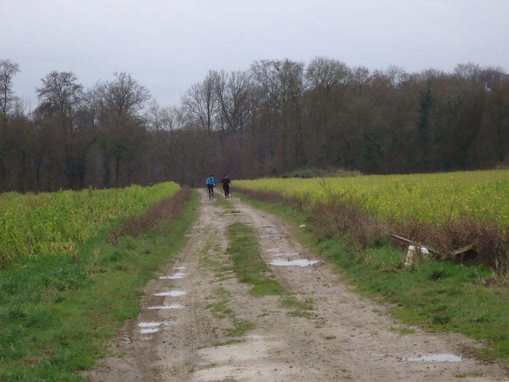 Du chemin saint Nicolas aux Coutureaux