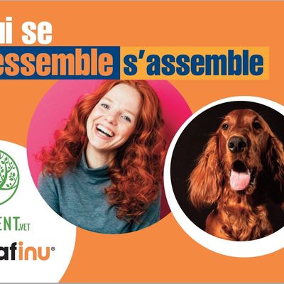 Le grand concours « Qui se ressemble s’assemble »