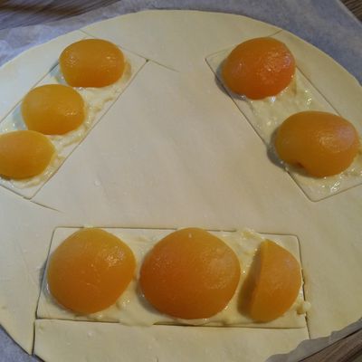 Tartelettes aux Abricots