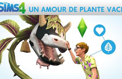 La plante vache 3