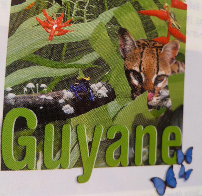 Album - guyane2-en-carnet