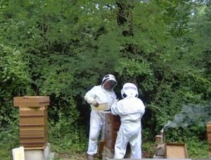 abeilles ruches, nos ruchers de Bourgogne, les apiculteurs Api4 en plein travail, leur évolution au fil des jours