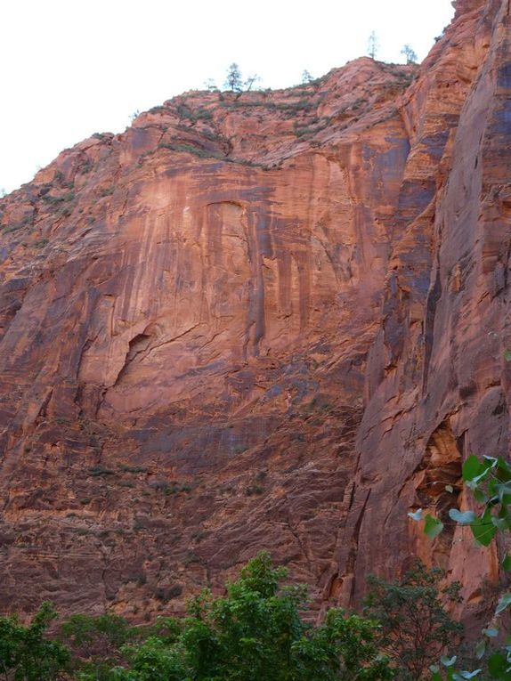 Quelques photos des paysages, faune et flore de Zion Park.