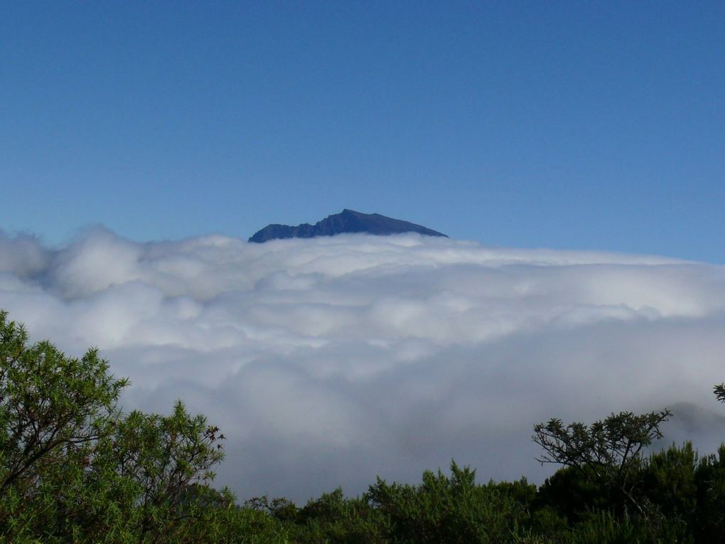 Album - La Reunion