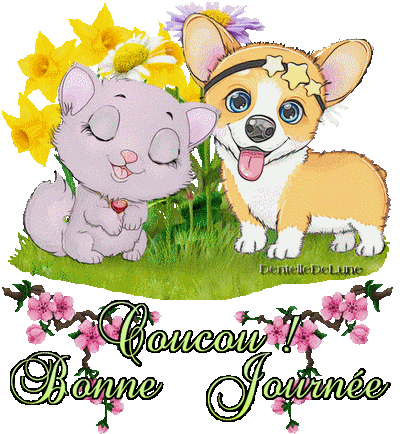 Gif Anniversaire Chien