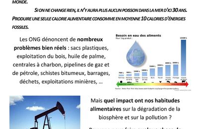 Conférence "Changez le monde au lieu de le manger" mercredi 20 juin 2018