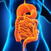 ENTRETENIR SA FLORE INTESTINALE AVEC LES PRODUITS FOREVER ?