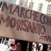De l'agent orange au glyphosate, comment Monsanto a tout fait pour couper l'herbe sous le pied de ses détracteurs
