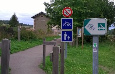 Sur les chemins entre ombre et lumière : piste cyclable