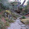 Feuilles d'automne à Hakone : la suite