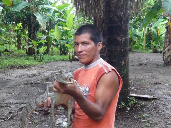 Album - Iquitos,l'Amazonie 12octobre