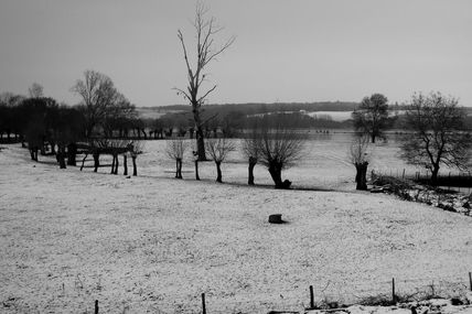 Retour sur la Loire