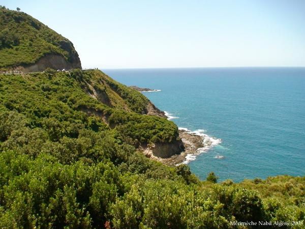 Album - ALGERIE