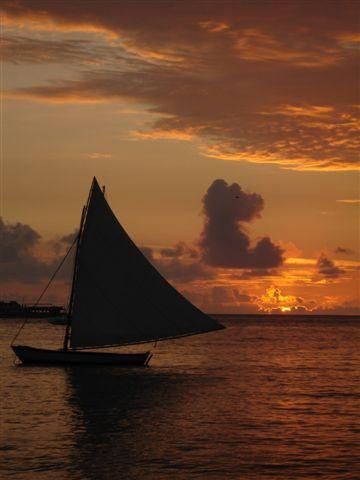 Mon voyage en 2006 en RP de trois semaines péninsule de samana, cabarette et bayahibe avec excursion géniale à l'ile de saona