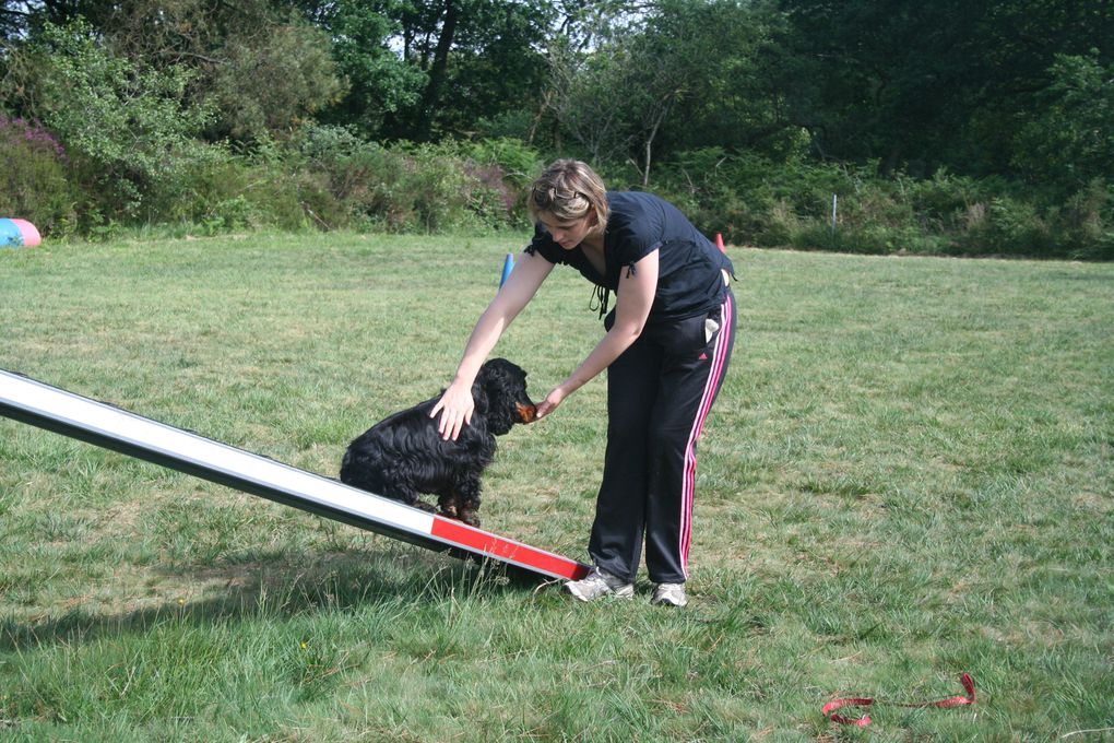 Album - 2012-06-30-Entrainement-Agility et entretien club