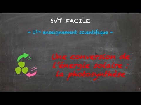 Une conversion de l'énergie solaire : la photosynthèse