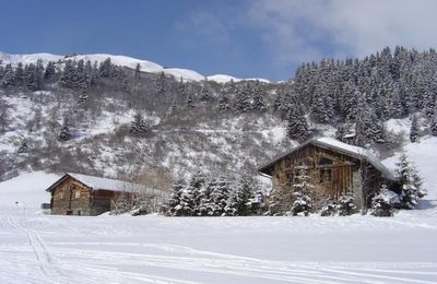 Chalet abandonné...