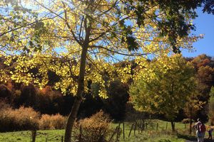 Promenade dans le madet