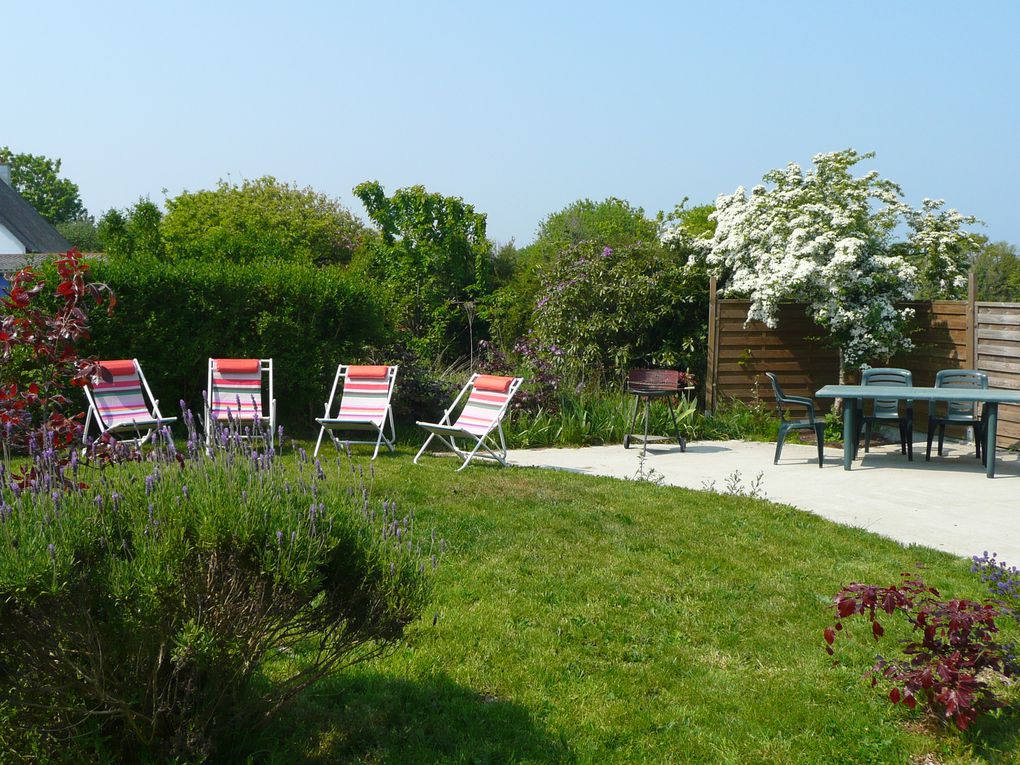 un carré de jardin privatif avec terrasse vous est reservé. Avec table, chaises, BBQ, parasol et transats.