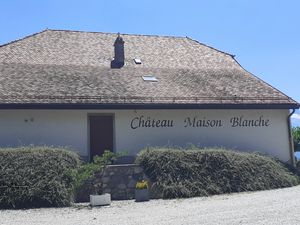 Vignobles et château maison blanche (Yvorne, Suisse)