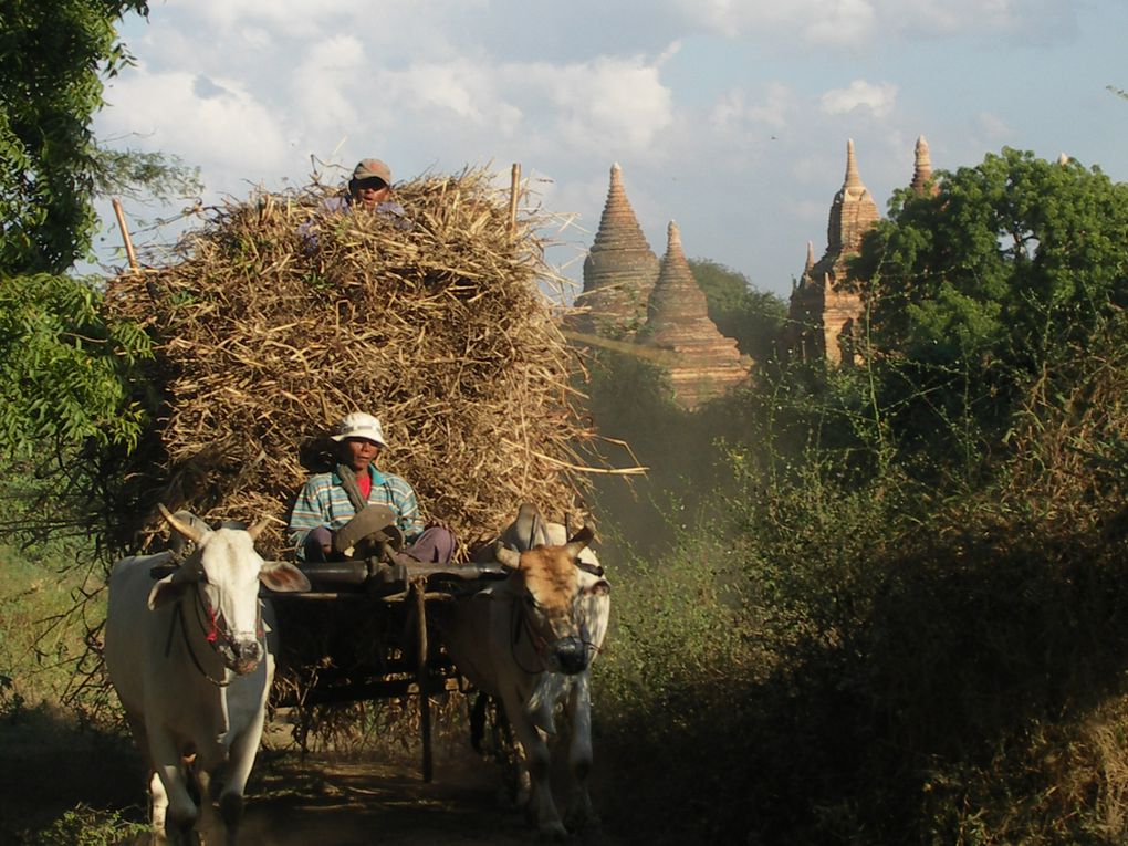 Retour à Bagan à la recherche du plus beau coucher de soleil, perché sur un des 4000 temples de l'ancienne ville.