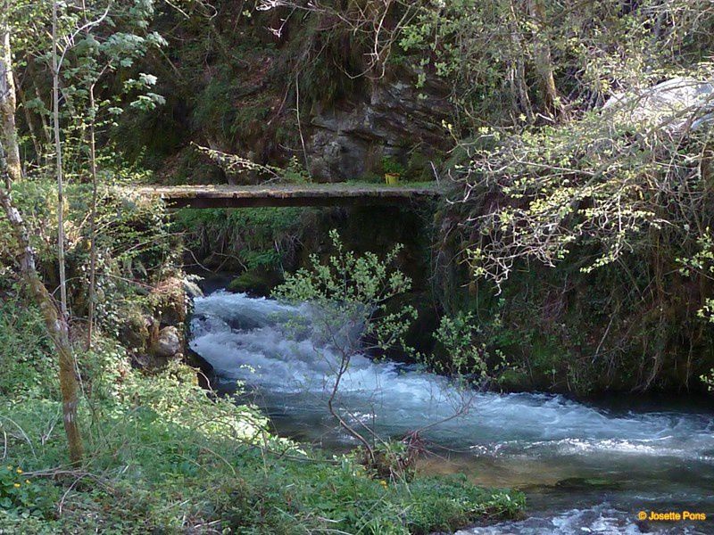 Pour franchir les ruisseaux de nos montagnes les hommes ont construit des ponts plus ou moins larges.