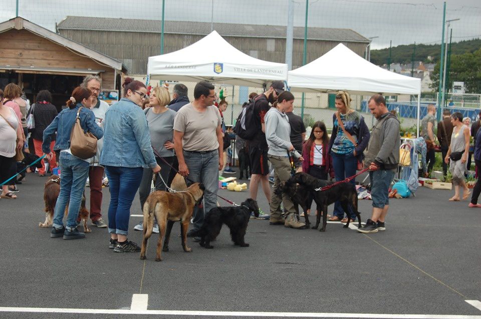 Album Kermesse 2019