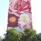 Le mur des Roses - le blog docroger