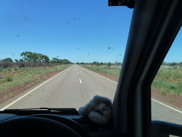 Album - 82-Australie-Flinders Ranges-Uluru &amp; Outback