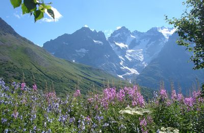 Repartir avec confiance dans la bonté humaine 