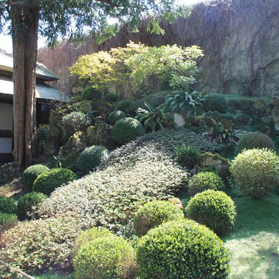 Le jardin japonais